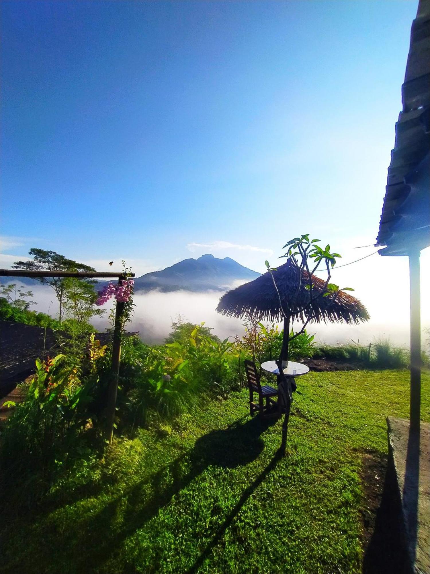 Kintamani Adventures 'Hide In Nature Lodge' Zewnętrze zdjęcie